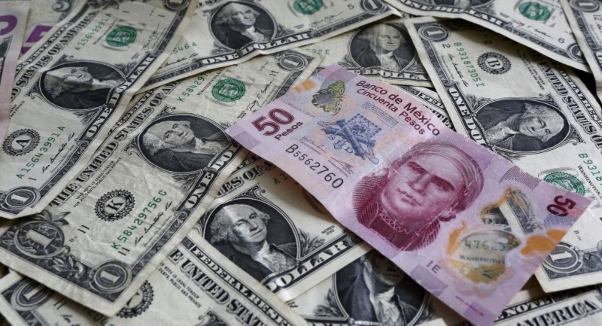 Conoce todos los detalles sobre el precio del dólar