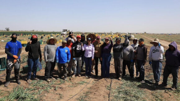 Reconoce Gobierno de Sonora la aportación de las y los trabajadores agrícolas a la economía del estado
