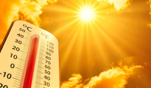 América Latina y el Caribe, incapaces de contabilizar sus muertes por calor extremo