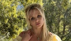 Britney Spears se declara culpable por manejar bajo efectos del alcohol