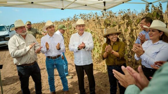 Reconversión agrícola avanza con respaldo de Durazo y Sader para productores sonorenses