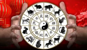Horóscopos Chino: Conoce qué es lo qué te depara tu signo del zodiaco oriental este martes 12 de mayo del 2026