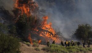 Incendio forestal en California provoca evacuación de más de 17 mil personas