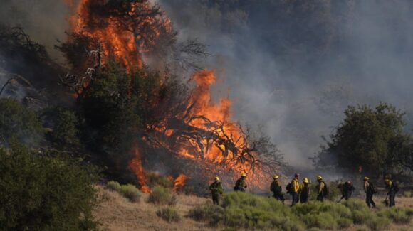 Incendio forestal en California provoca evacuación de más de 17 mil personas