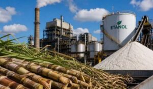 Azúcar alcanza máximos mensuales en Brasil por incertidumbre
