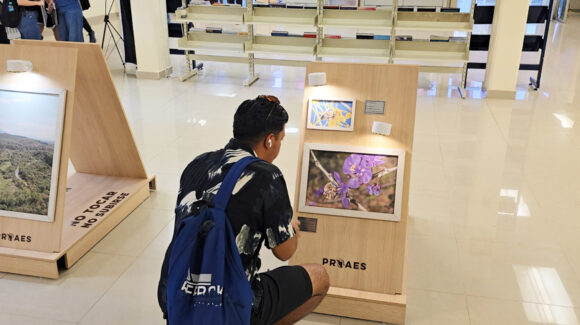 Itson de Ciudad Obregón inaugura exposición sobre abejas nativas y biodiversidad del desierto sonorense