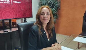 Morena en Sonora analiza posibles denuncias por presuntos actos anticipados de campaña