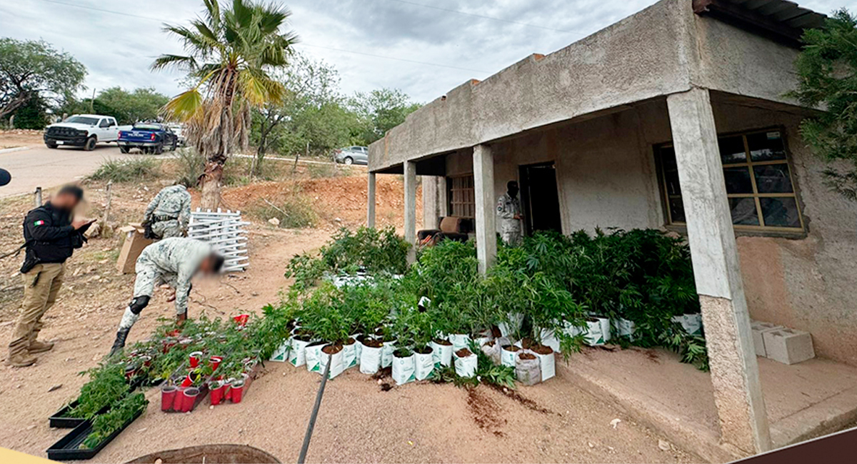 La casa ubicada en Cucurpe, donde fue encontrado el invernadero clandestino
