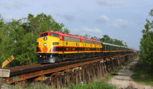Confirman a tres mexicanos entre los siete fallecidos en tren de Texas; SRE gestiona repatriación