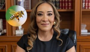 Magistrada Oyuki Ramírez muere tras ataque de abejas en Zacatecas