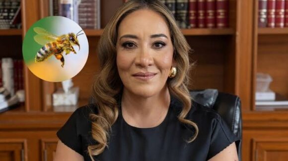 Magistrada Oyuki Ramírez muere tras ataque de abejas en Zacatecas