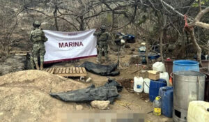 Elementos de la Marina destruyen narcolaboratorio y plantío de marihuana en Culiacán, Sinaloa