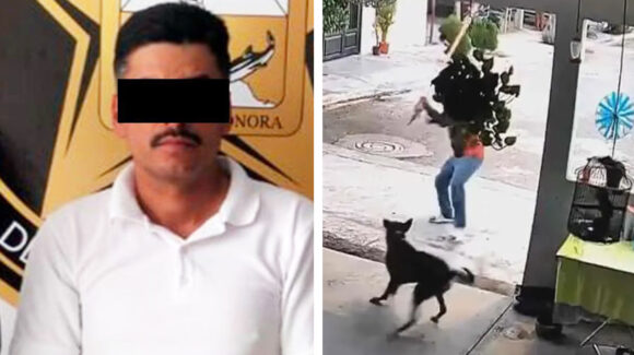 Fiscalía de Sonora inicia proceso contra agresor de perro en Navojoa; lo golpeó con palo de madera