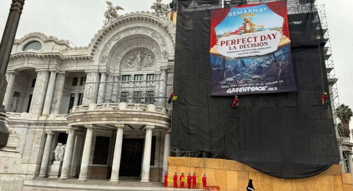 "No puede haber un proyecto que dañe el arrecife": Sheinbaum se pronuncia ante críticas de 'Perfect Day'