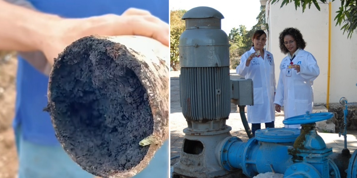 Oomapasn necesita 195 mdp para remover el exceso de manganeso