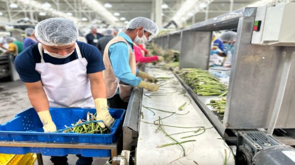 Sagarhpa presume liderazgo de Sonora a nivel nacional en producción agroalimentaria