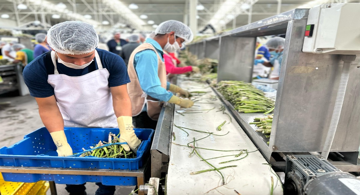 Sagarhpa presume liderazgo de Sonora a nivel nacional en producción agroalimentaria