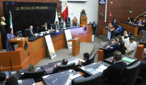 Senado 2026 contará con al menos 18 mujeres por reformas de paridad, según especialista