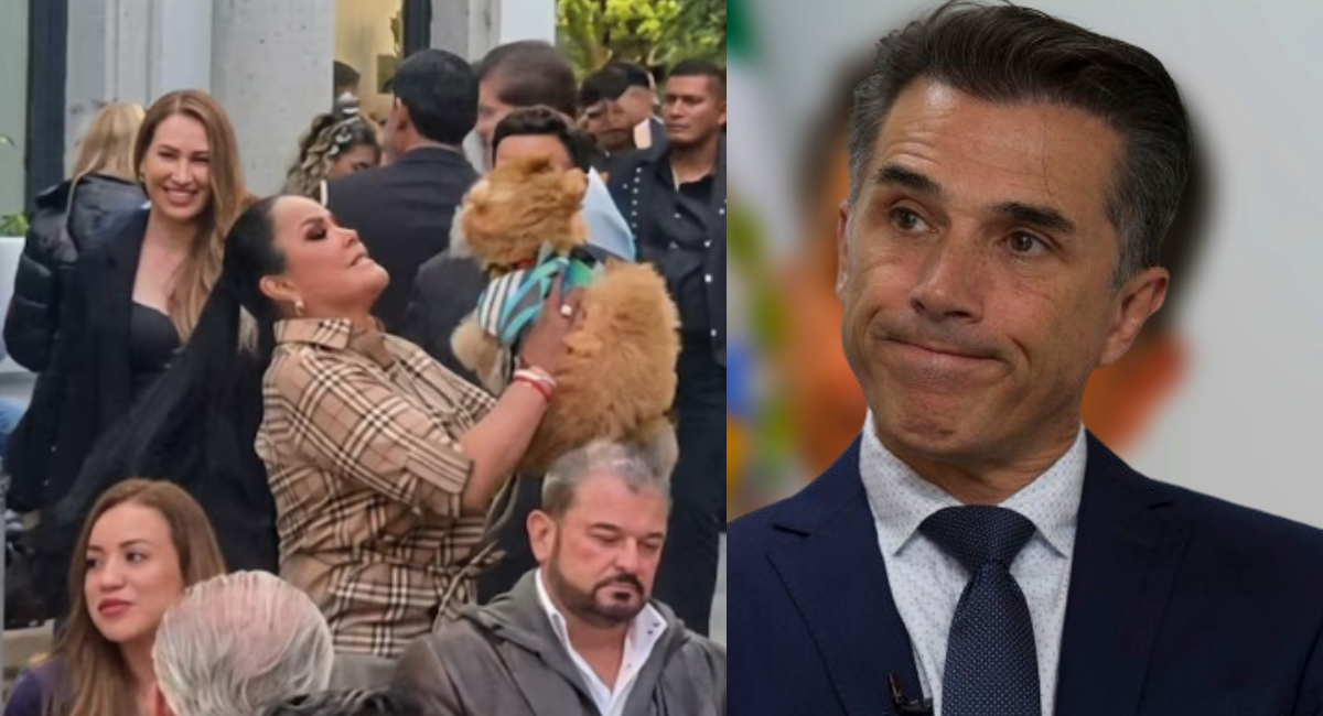 Sergio Mayer acusa a Mariana Gutiérrez de amenazarlo tras exponerla cómo presunta maltratadora animal