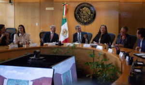 Taddei y consejeros del INE piden aplazar la elección judicial de 2027; advierten riesgo logístico y operativo