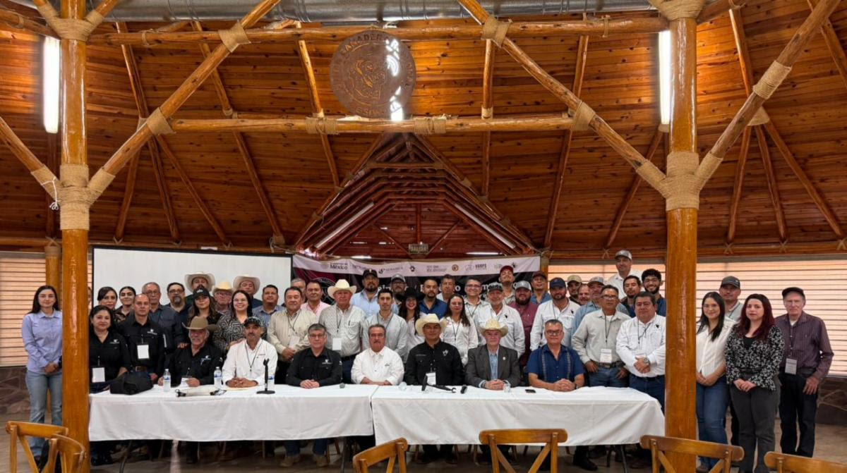 Refuerzan Sonora y Federación acciones preventivas contra gusano barrenador