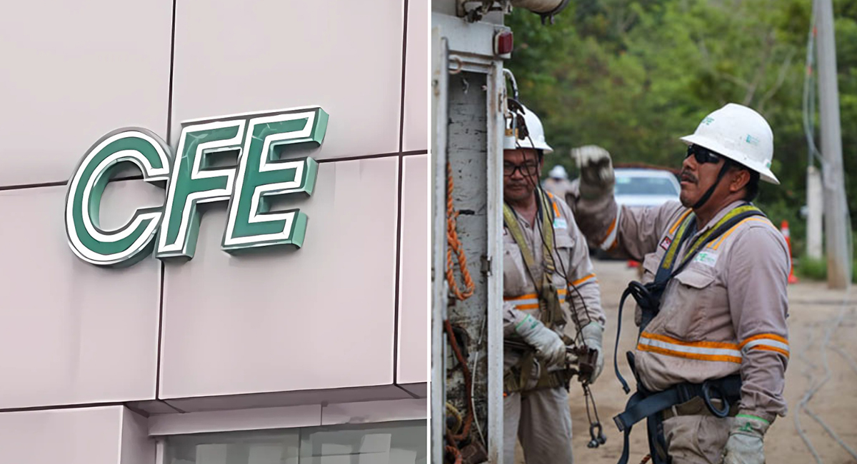 CFE orientará a comerciantes sobre ahorro y uso eficiente de energía eléctrica