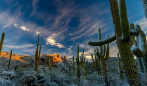CLIMA en Sonora HOY 3 de mayo: Alertan CALOR de hasta 35°C; aquí las temperaturas por municipio