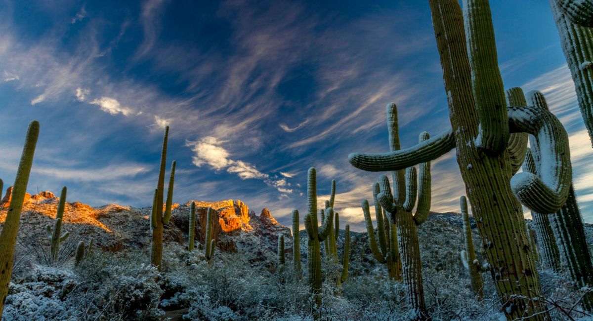 Así será el clima en Sonora este domingo 3 de mayo