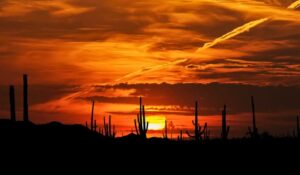 ¿Cómo será el CLIMA en Sonora este Día de las Madres? Alertan calor de hasta 41°C y tolvaneras
