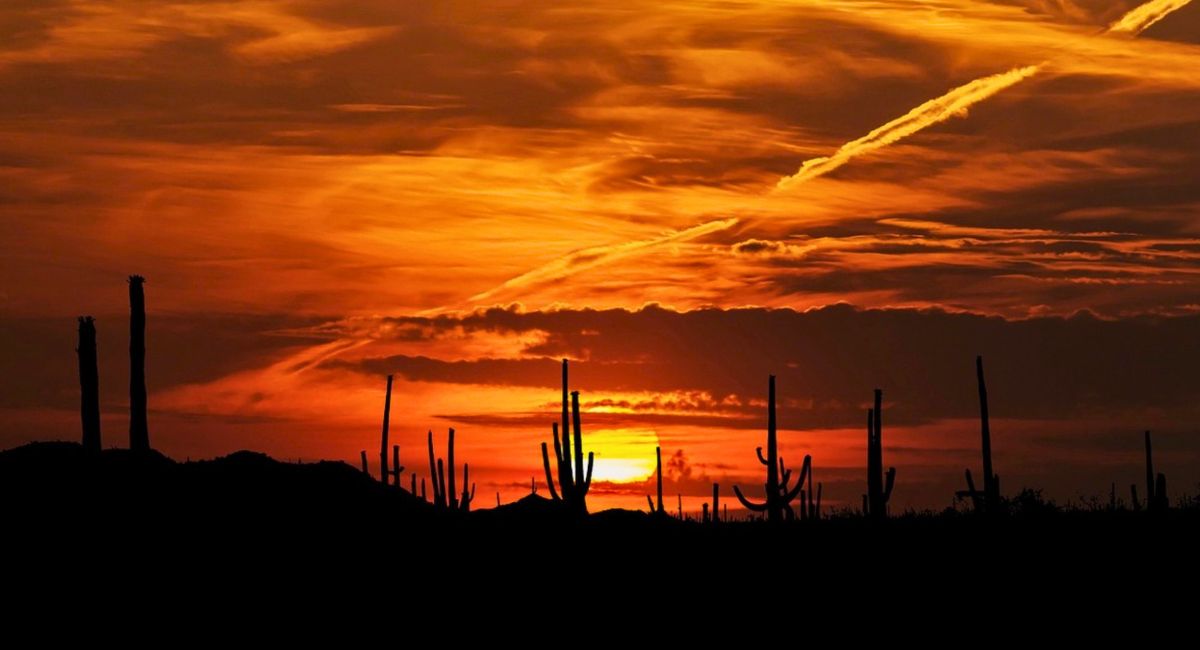 Así será el clima en Sonora este domingo