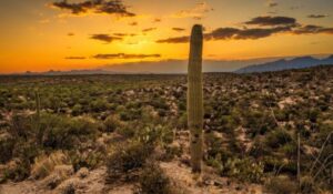 Clima HOY en Sonora: ¿Qué municipios alcanzarán las temperaturas más altas este martes 19 de mayo?
