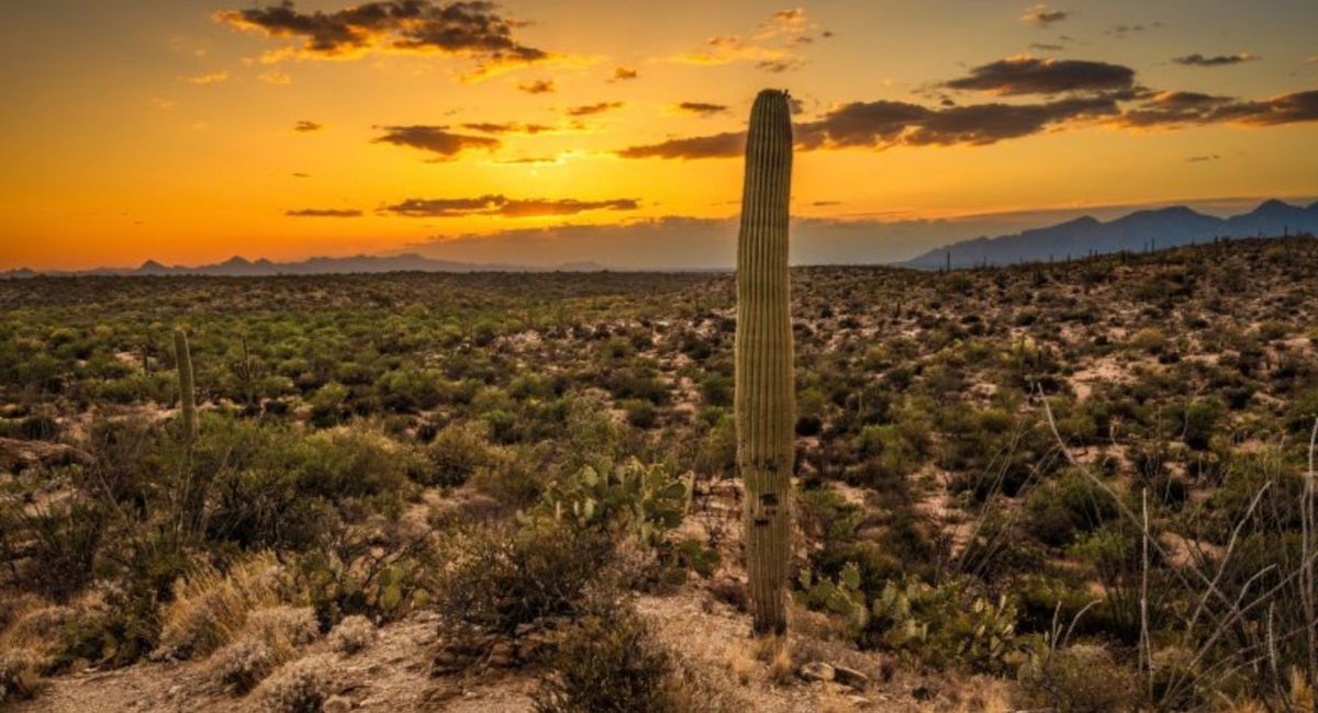 Así estará el clima este martes en Sonora