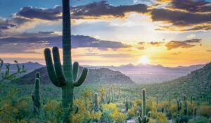 ¿Cuáles serán los efectos de la Onda de Calor en Sonora? Pronóstico del CLIMA HOY 13 de mayo