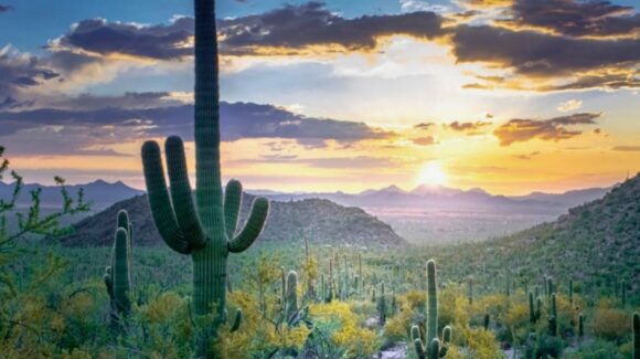 ¿Cuáles serán los efectos de la Onda de Calor en Sonora? Pronóstico del CLIMA HOY 13 de mayo