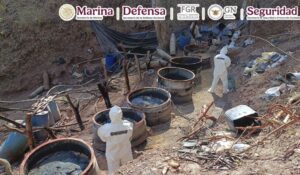 Semar asegura narcolaboratorios en Jalisco, Nayarit y Sinaloa; dos estarían ligados a ‘El Jardinero’, nuevo líder del CJNG