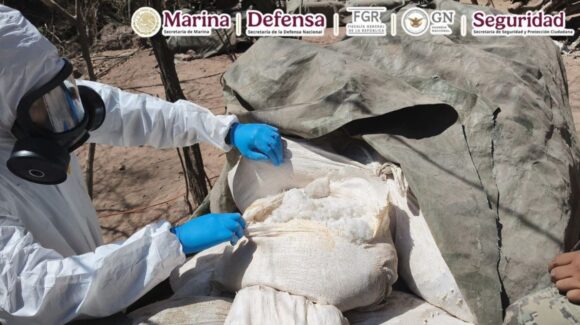 Duro golpe al narco: Semar desmantela 3 laboratorios clandestinos en Sinaloa y asegura toneladas de droga