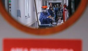 Alerta por hantavirus en crucero: Confirman cepa Andes transmisible entre humanos