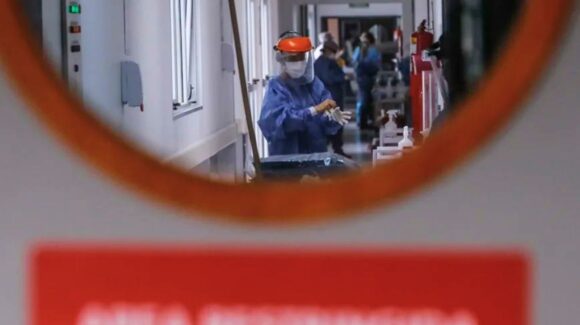 Alerta por hantavirus en crucero: Confirman cepa Andes transmisible entre humanos