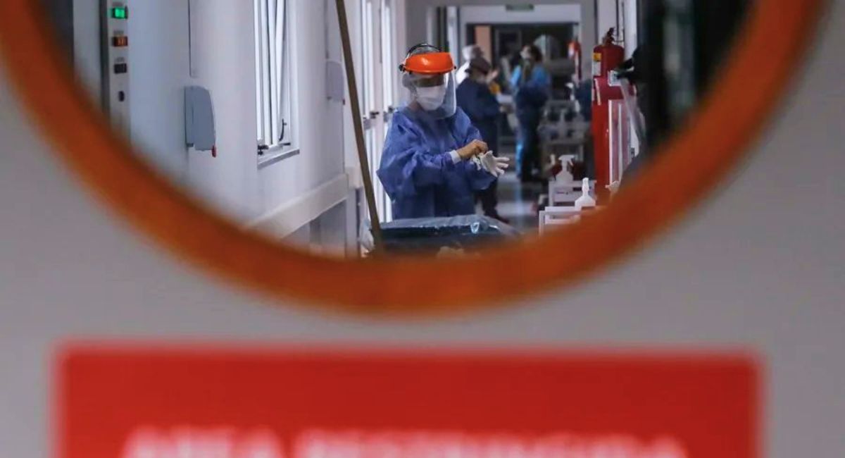 Hantavirus en crucero: cepa Andes sí se transmite entre humanos