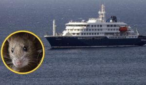 Brote de hantavirus en crucero: Evacuarán a tres enfermos graves a Países Bajos