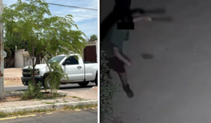 Vandalizan árboles reforestados en Navojoa; ecologistas de ‘Acción Verde’ piden sanciones