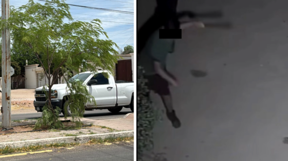 Vandalizan árboles reforestados en Navojoa; ecologistas de ‘Acción Verde’ piden sanciones