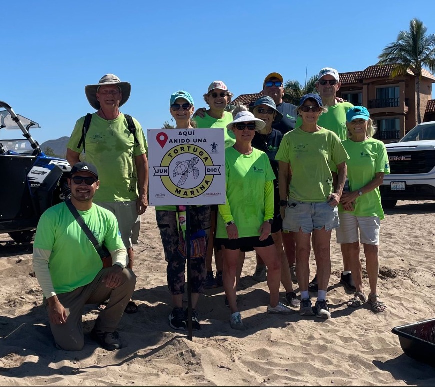 Crrifs lanza convocatoria para protección de tortuga marina en Guaymas