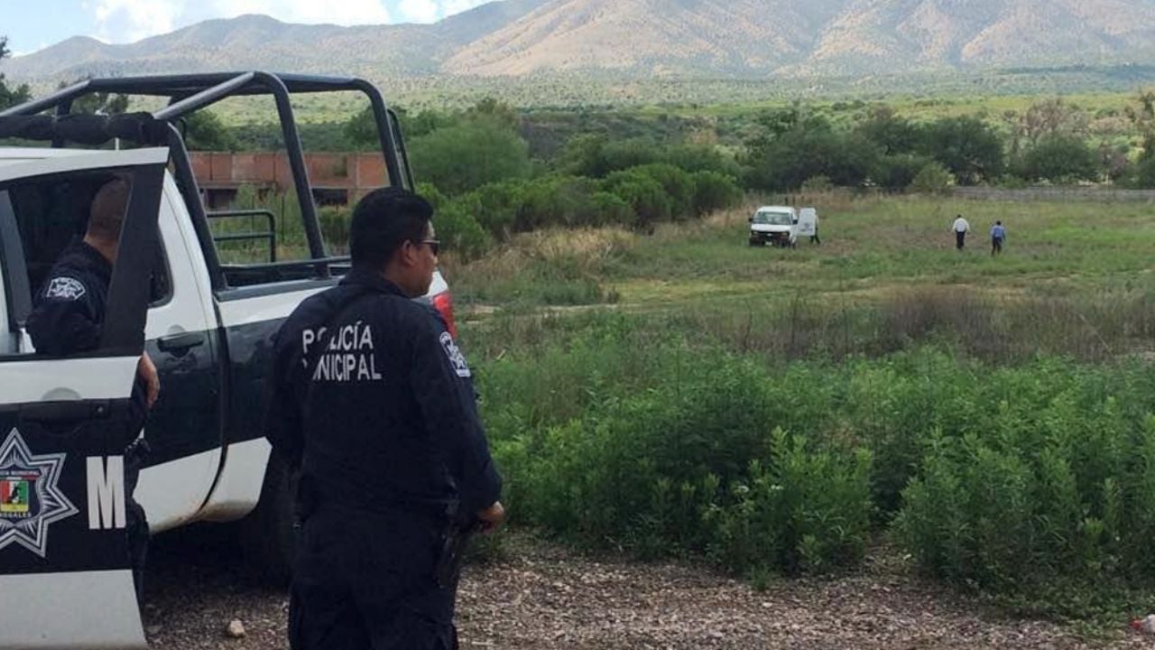 Macabro feminicidio: Hallan restos óseos de mujer colgados de un árbol; tenían huellas de violencia