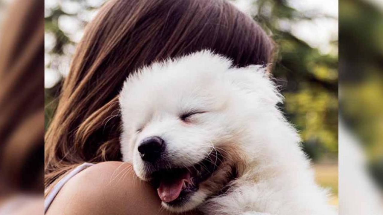 ¡Demuéstrale tu amor! Así puedes hacer que tu perro sepa lo mucho que lo quieres