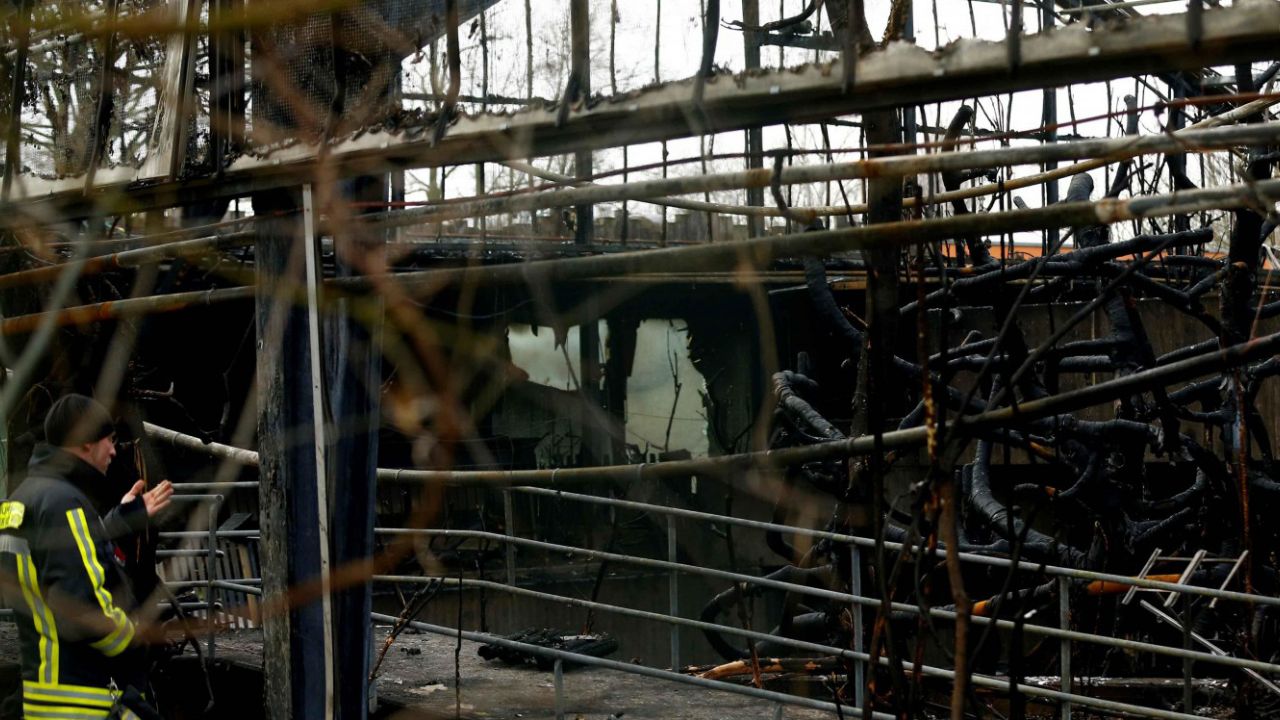 Linterna china, la causante del mortal incendio en zoológico de Alemania