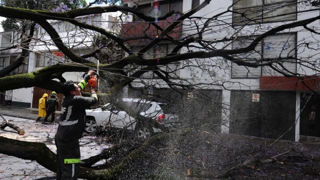 Por fuertes vientos, se activa Alerta Naranja para 7 alcaldías de la CDMX