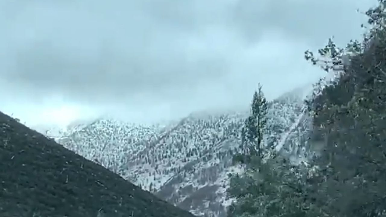 Ante las recientes heladas, así amanecen las carreteras de Coahuila