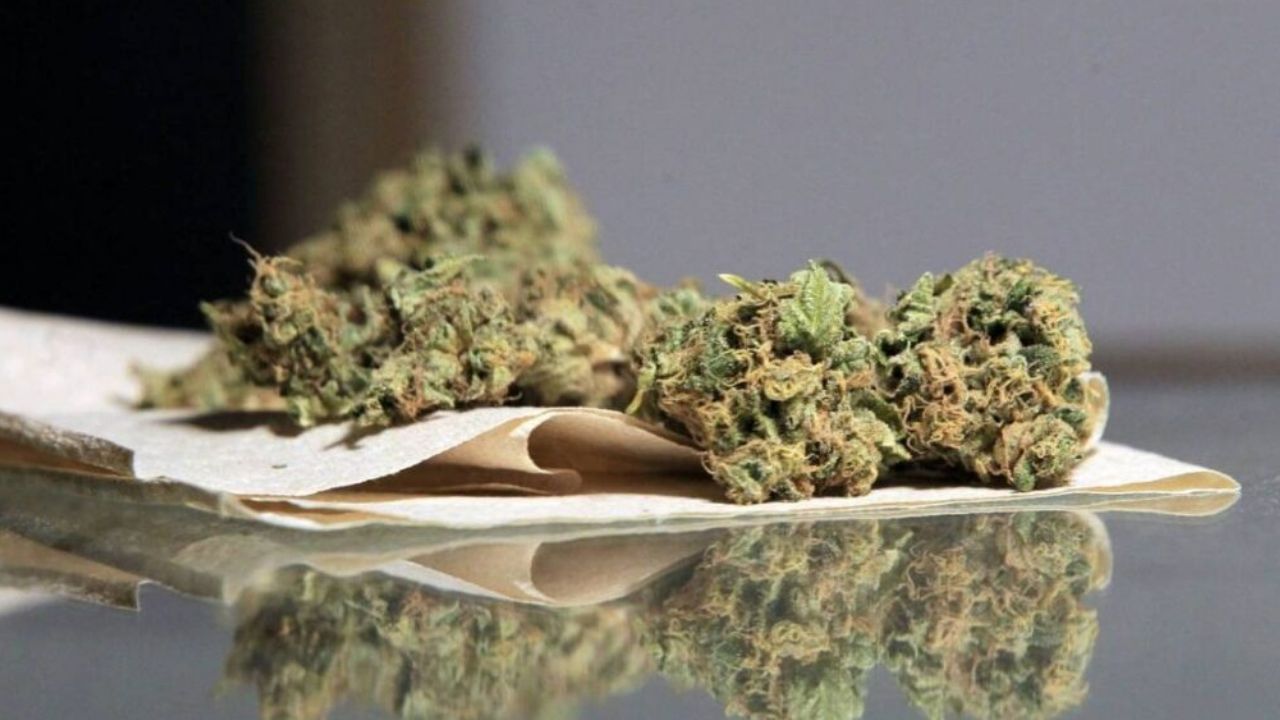 Marihuana puede causar daños irremediables al corazón, según estudio