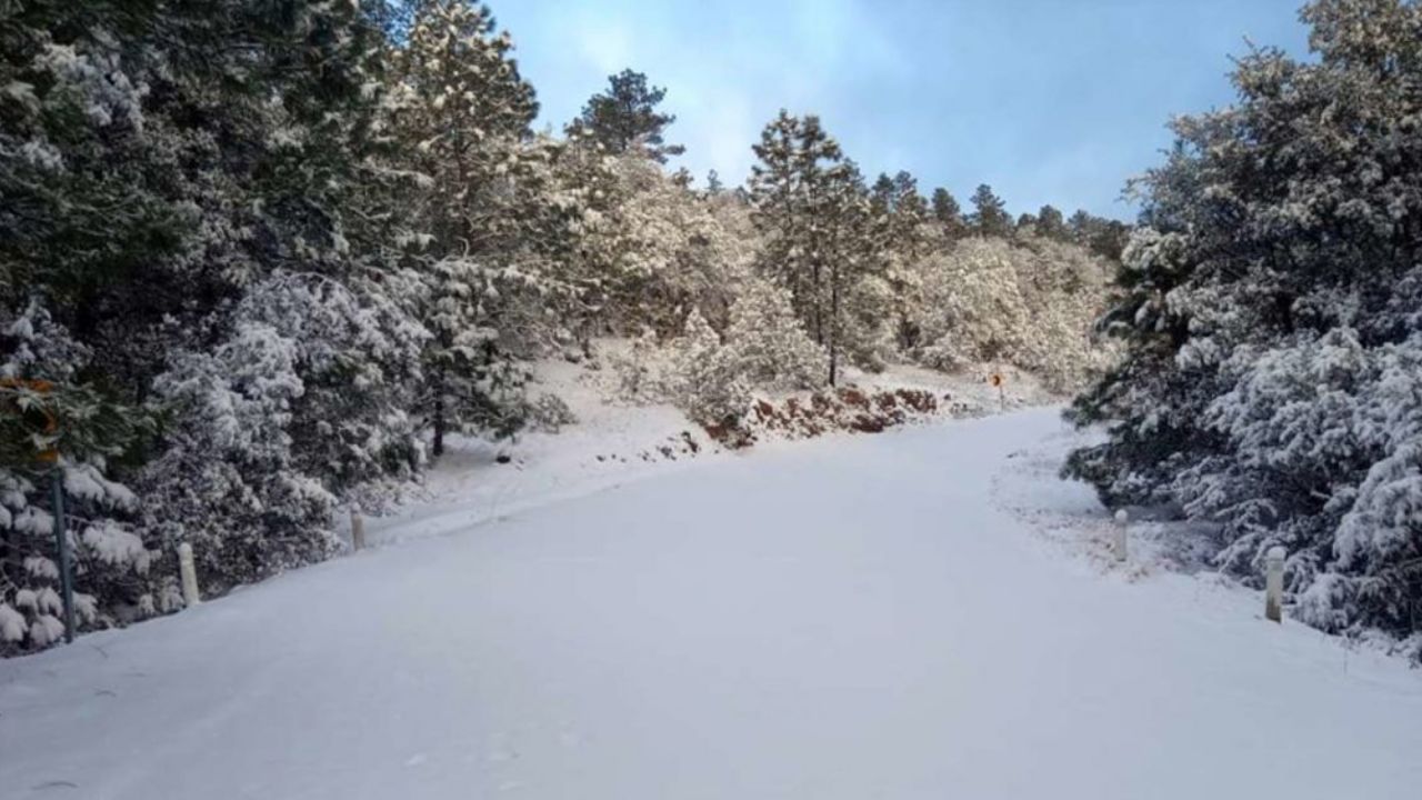 Intensas nevadas afectan el tránsito de camiones en el sur de Chihuahua